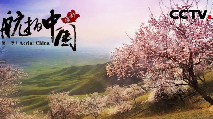 有没有大神可以详细介绍一下本次跳级国少的10中场潘朝伟的