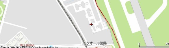 中国女足主帅：亚运备战需高强度实战练兵