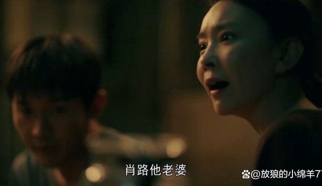 董路能离婚找小鲜肉，小羊为何不行？