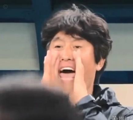 张洪福：中国范戴克的陨落与重生